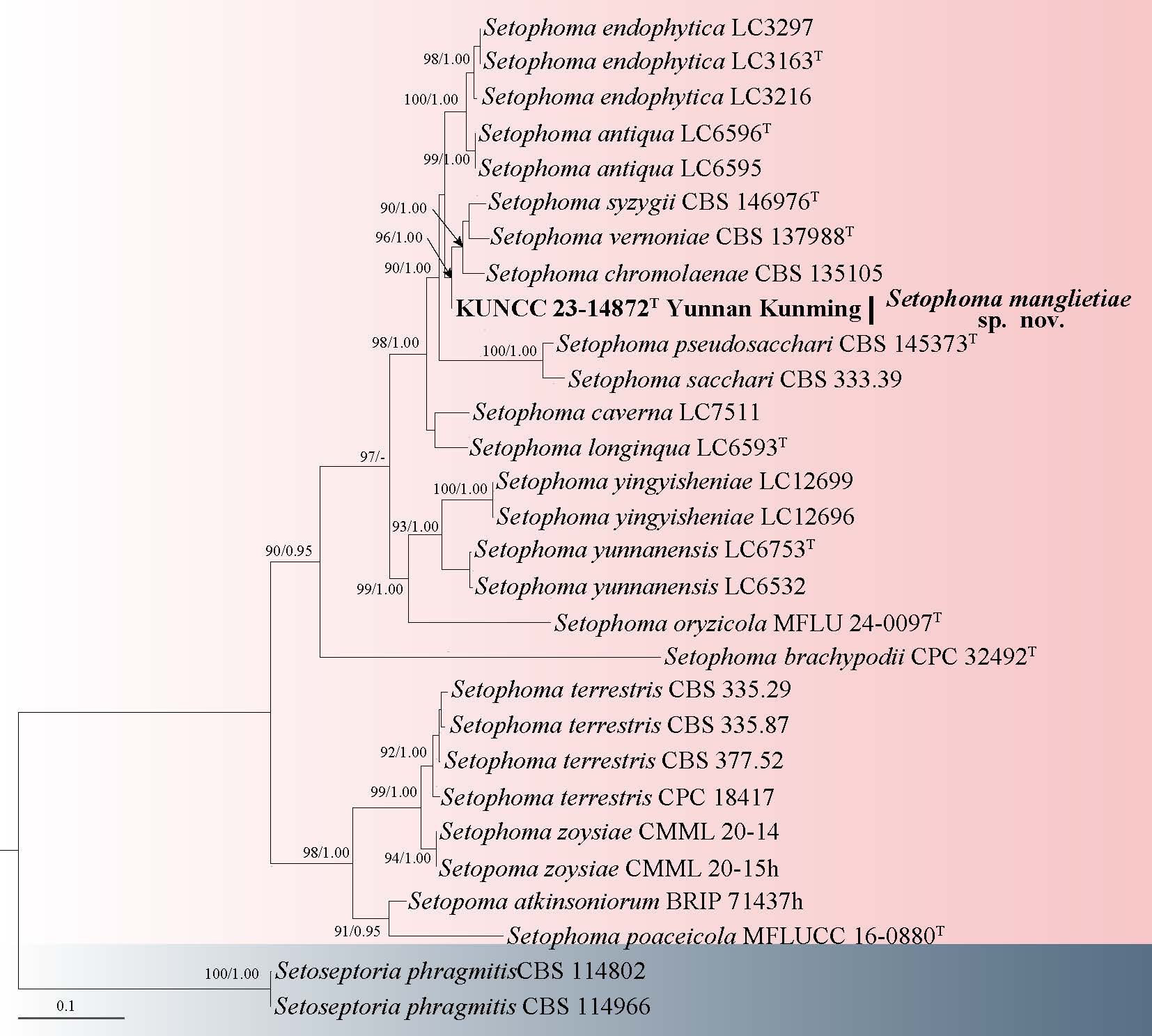Figure 14